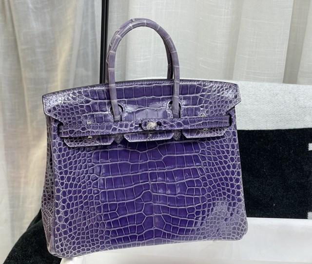 Hermes專櫃經典款鱷魚皮Birkin手提女包 愛馬仕鉑金25CM銀扣進口高光美洲鱷魚肚皮純手工女包 zhh1229