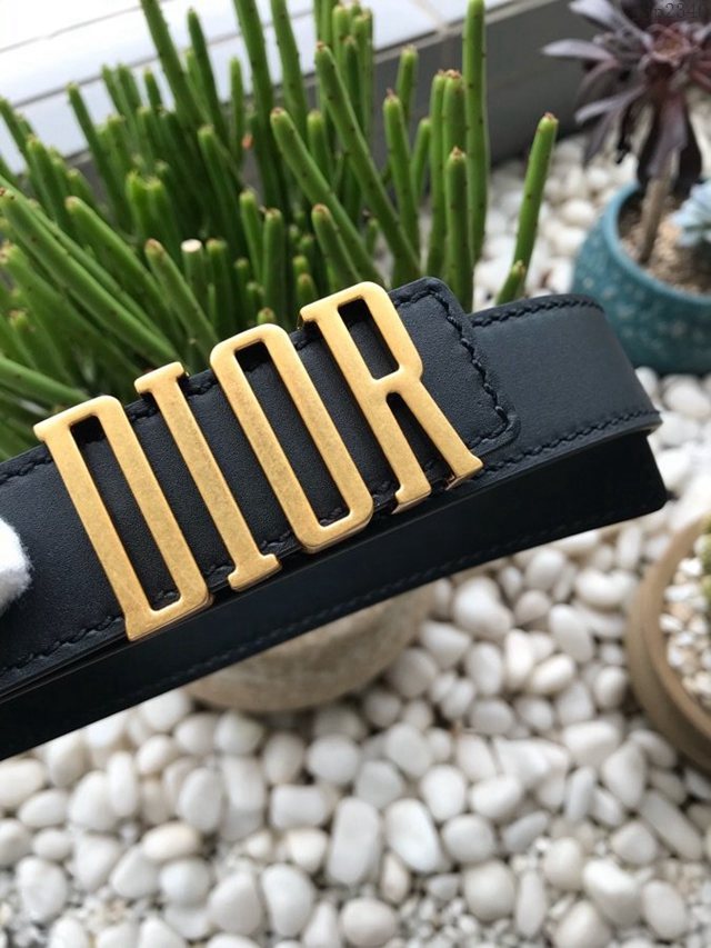 Dior專櫃經典款女士腰帶 迪奧DIOR字母搭扣經典皮帶 jjp2340