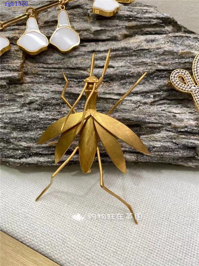 L0EWE專櫃羅意威經典款胸針 zgb1558