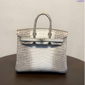 Hermes專櫃經典款鱷魚皮包 愛馬仕birkin25喜馬拉雅尼羅三張皮銀扣全手工 ttd1513