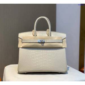 Hermes專櫃經典款鱷魚皮包 愛馬仕birkin25冰川白美洲鱷魚皮銀扣全手工 ttd1514