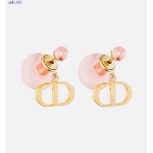 Dior專櫃爆款耳釘 迪奧2022年新品原單貨CD耳環 zgb1493